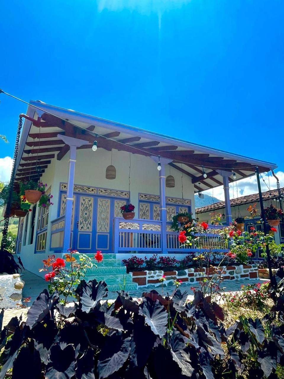 Hotel Lago Valdivia Jardín Extérieur photo