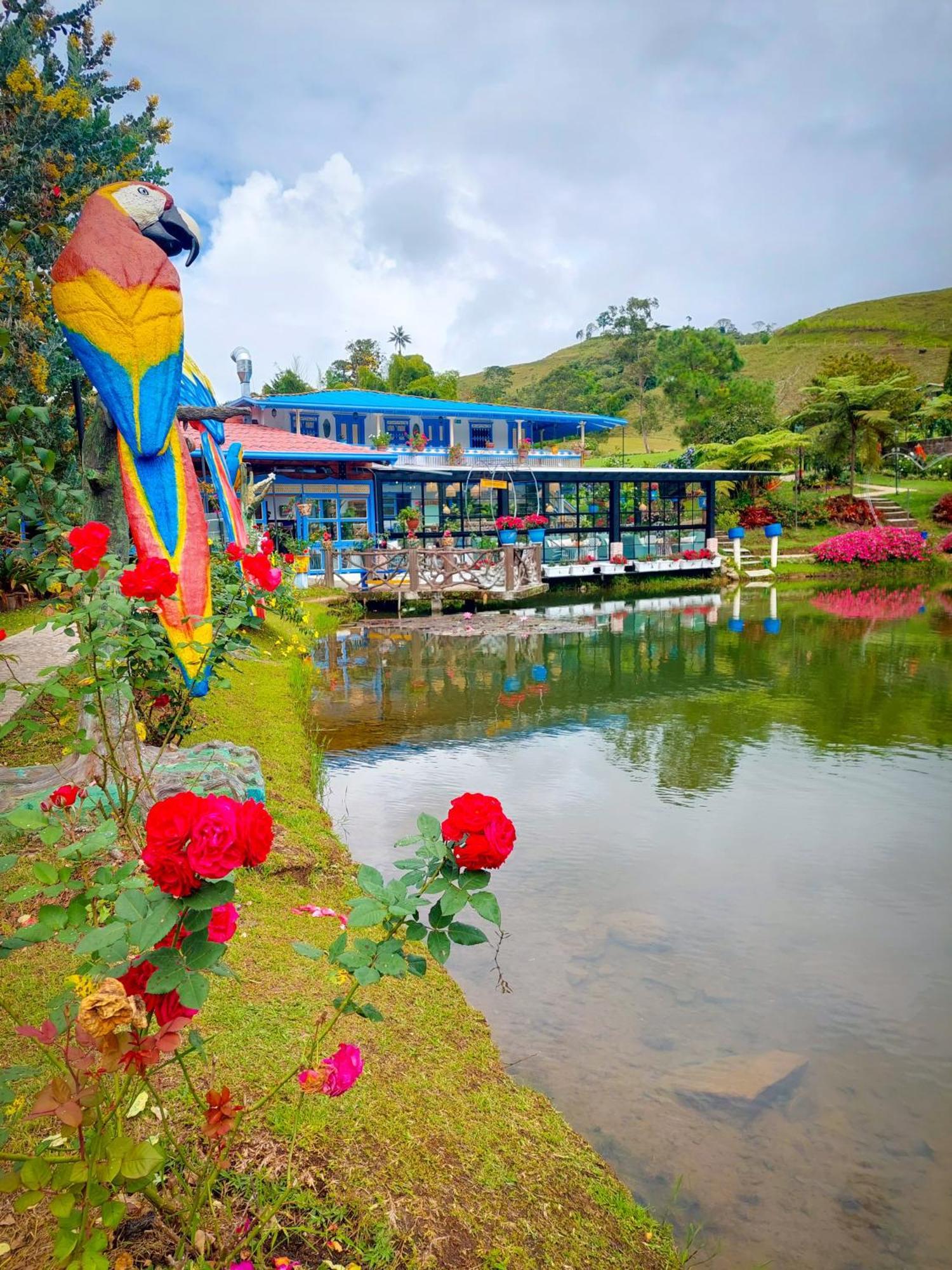 Hotel Lago Valdivia Jardín Extérieur photo